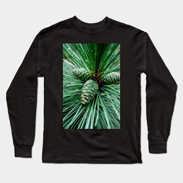 Pine Cones Long Sleeve T-Shirt by LaurieMinor